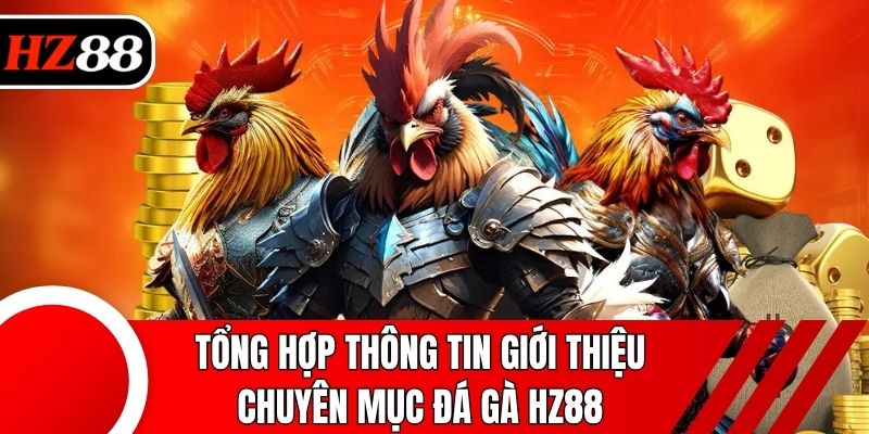 Tổng hợp thông tin giới thiệu chuyên mục đá gà HZ88