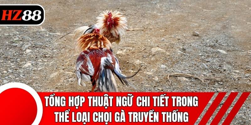Tổng hợp thuật ngữ chi tiết trong thể loại chọi gà truyền thống